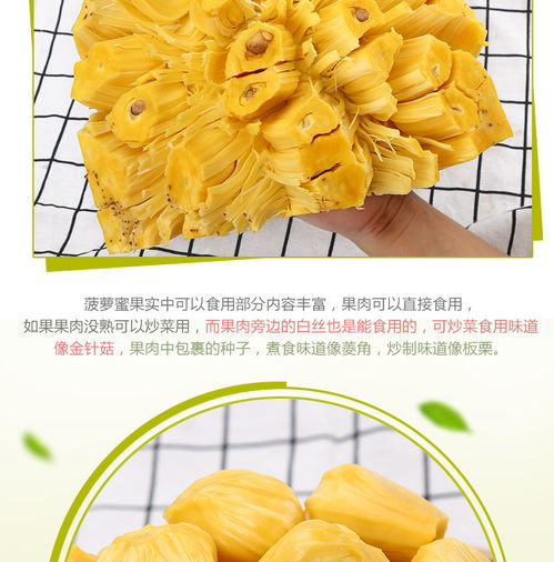 熱帶果王飄香時 18-22斤海南三亞菠蘿蜜批發指南