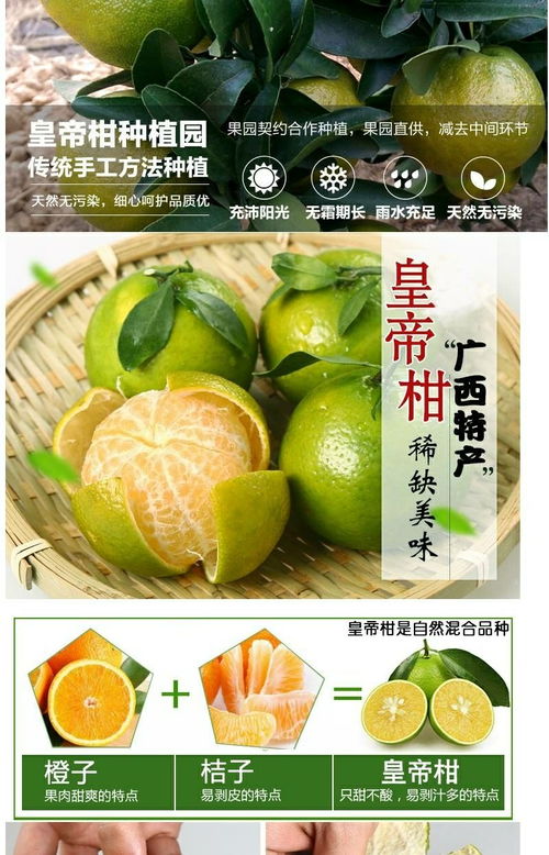 廣西皇帝柑 應季鮮果，薄皮多汁，整箱批發包郵到家