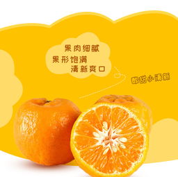 長陽清江椪柑 源自農夫鄉情的當季精品